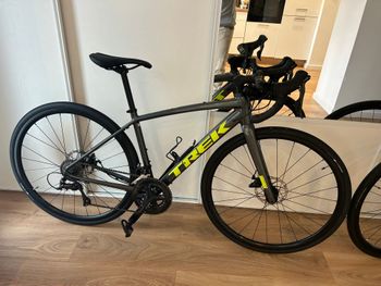 Trek, Domane AL 3 Gen 3 2023