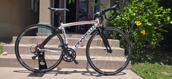 Pinarello, Pinarello Neor Aluminum 6061-T6