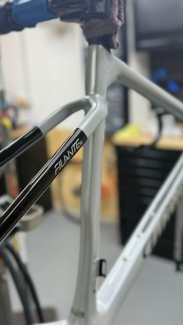 Tweedehands Wilier Filante SL 2025 Frameset 2025 Road & Gravel — afbeelding 2 van 9