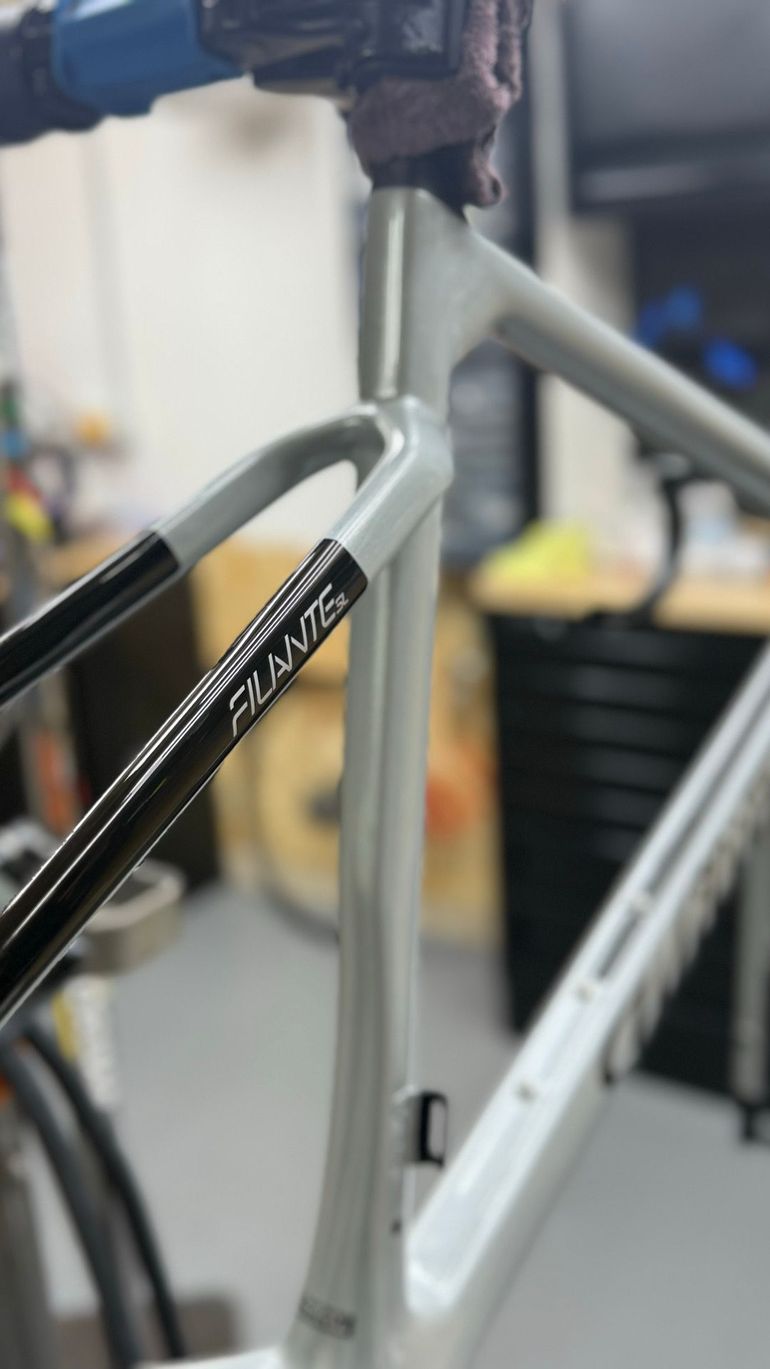 Used Wilier Filante SL 2025 Frameset 2025 Road & Gravel — image 2 of 9