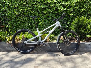 Canyon, Spectral 125 CF 7 2022