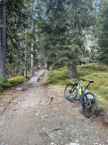 BH, LYNX RACE CARBON RC 7.0 2022