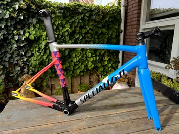 Specialized, Allez Sprint Track Frameset – Red Hook Crit LTD 2019 Frameset