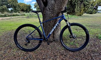 Giant, Talon Shimano Deore