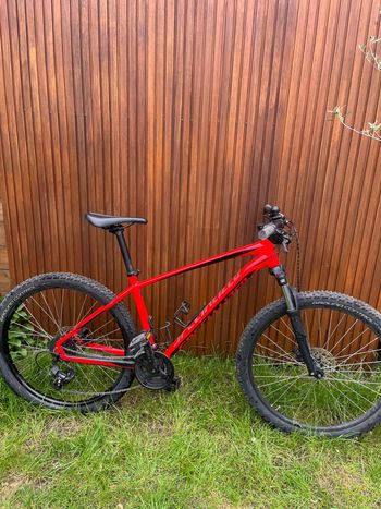 Specialized, Men's Pitch 2019
