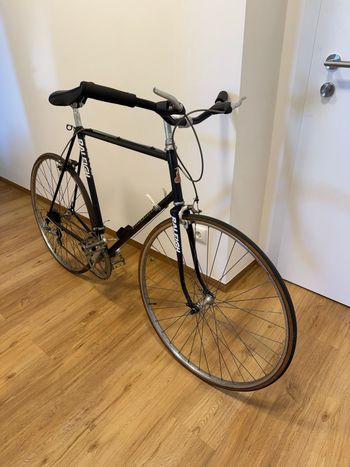 Raleigh, Raleigh Custom Other