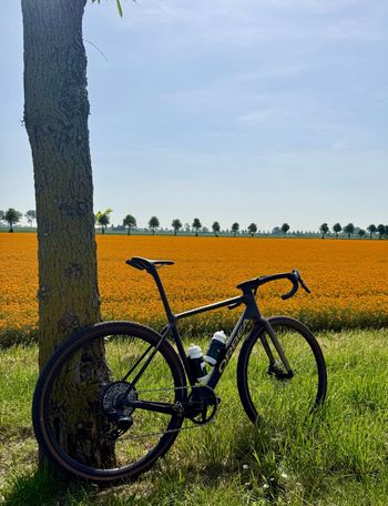 Used Orbea TERRA M31eTEAM 1X 2023 2023 Road & Gravel
