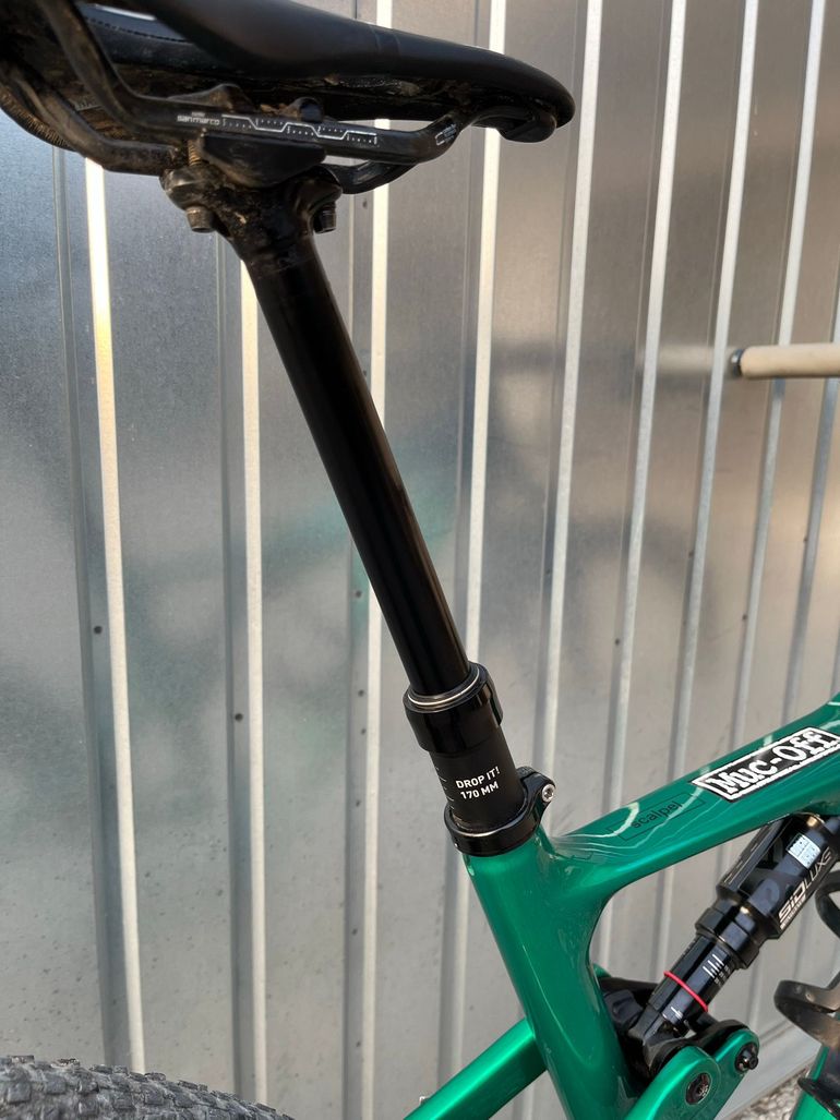 Used Cannondale Scalpel SRAM X01 Eagle 2025 Mountainbike, Green — image 5 of 8