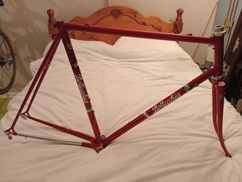Bottecchia, SLX Frameset Frameset