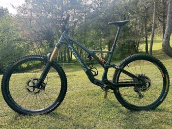 Used Orbea RALLON M10 2024 2024 Mountainbike — image 9 of 12