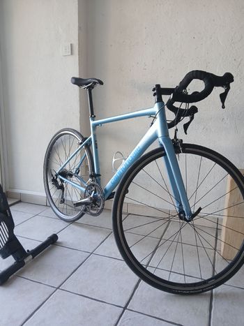 Cannondale, CAAD Optimo 1 2026