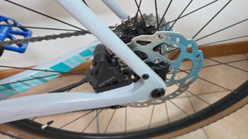 Used Torpado Zenith 2025 Road & Gravel — image 3 of 4