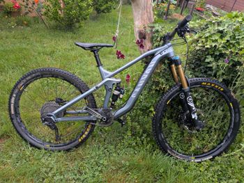 Canyon, Canyon Strive AL
