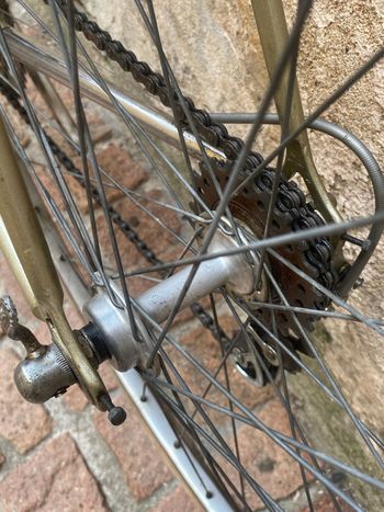 Vintage eroica Custom Other Campagnolo 1979 Road & Gravel de segunda mano, Gris claro — imagen 5 de 26