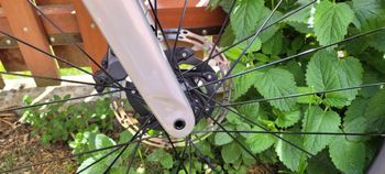 Used Scott Addict RC 10 2022 2022 Road & Gravel — image 8 of 10