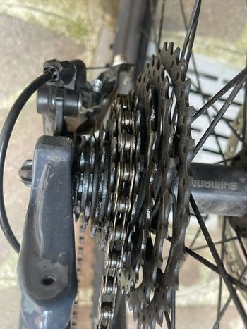 Used Cannondale Trail 6 2023 Mountainbike, Light Gray — image 13 of 18