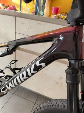 Specialized Epic S-Works Frameset, Specialized Epic S-Works Frameset Custom Frameset