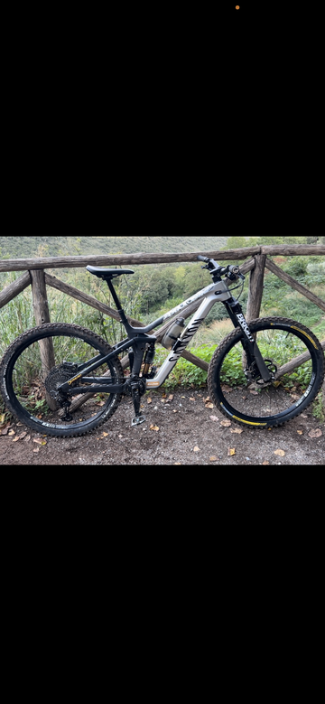 Canyon Strive CFR 2023 Frameset 2023 MTB d'occasion