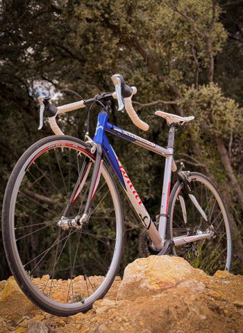 Wilier, Triestina Shimano 105
