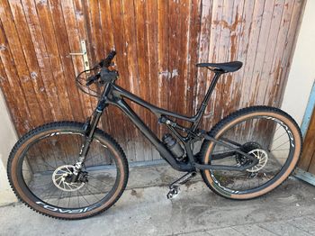 Specialized, Specialized STUMPJUMPER Expert Carbone