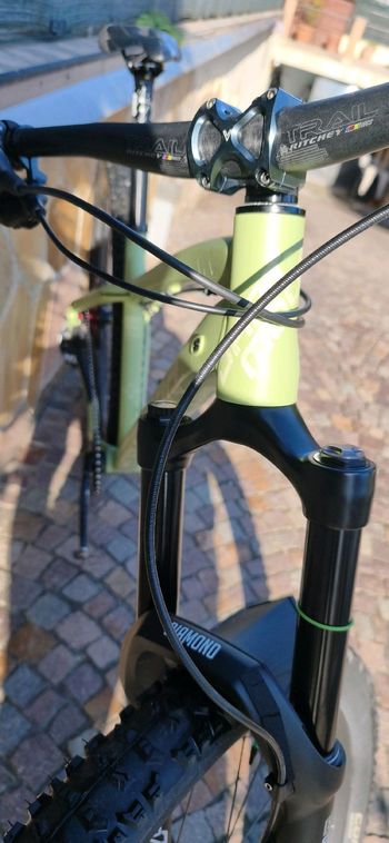 Used Dartmoor Dartmoor 29" PRIMAL V2 2025 Mountainbike, Green — image 9 of 13