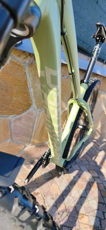 Used Dartmoor Dartmoor 29" PRIMAL V2 2025 Mountainbike, Green — image 11 of 13
