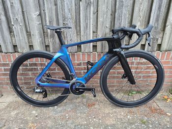 Koga, Kinsei Premium 2025