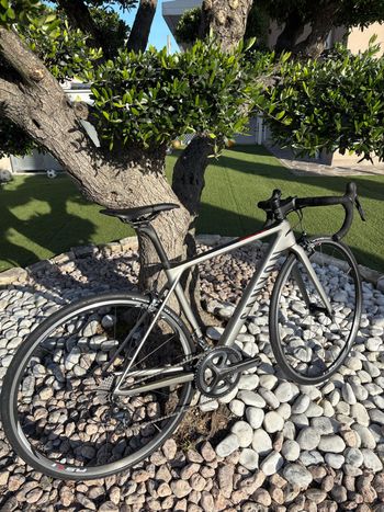 Used Canyon Ultimate Shimano Ultegra 2017 Road & Gravel, Hellgrau — image 2 of 7