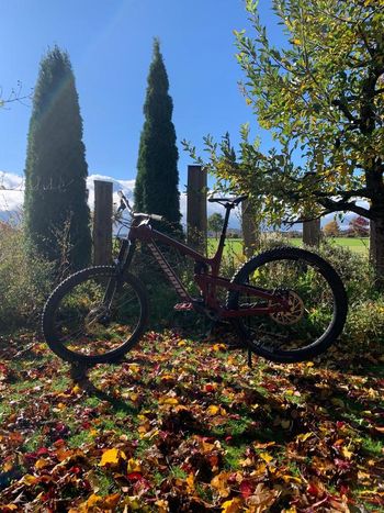 Used Propain Propain Tyee CF 27.5 Start 2021 Mountainbike, Red — image 1 of 20