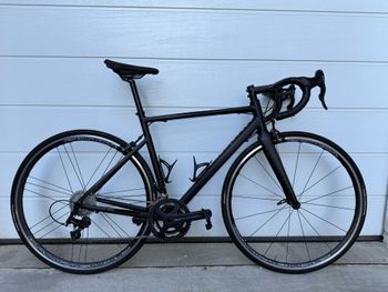 Van rysel, Edr Campagnolo Centaur