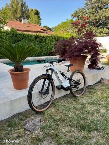 Specialized, Turbo Levo 2020