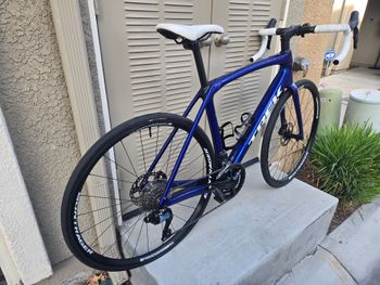 Trex, Trek Domane