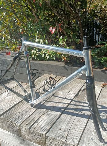 Used Columbus COLUMBUS CINELLI XLR8R 2004 SUPERMUSCLE CARBON ROAD BICYCLE PROTOYPE Frameset 2004 Road & Gravel, Light Gray — image 11 of 31