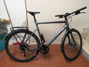 Bergamont, Sweep 4 EQ 2023