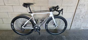 Megamo, PULSE ELITE 03 SH12 2024