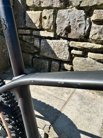 Used CUBE REACTION C:62, PRO 2025 2025 Mountainbike, Black, 29 — image 5 of 6