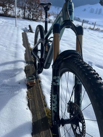 Used BiXS Lane X Silver-Anthracite 2025 2025 Mountainbike, Green, 29 — image 13 of 19