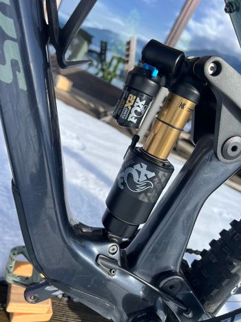 Used BiXS Lane X Silver-Anthracite 2025 2025 Mountainbike, Green, 29 — image 5 of 19