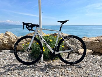Used Canyon Endurace CF 7 Di2 2025 2025 Road & Gravel, Hellgrau — image 2 of 9
