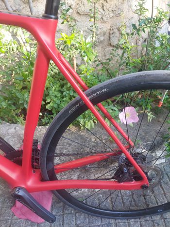 Used Canyon Endurace CF SLX Disc 8.0 2018 2018 Road & Gravel, Red — image 16 of 20