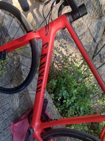 Used Canyon Endurace CF SLX Disc 8.0 2018 2018 Road & Gravel, Red — image 17 of 20