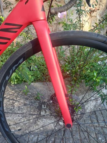 Used Canyon Endurace CF SLX Disc 8.0 2018 2018 Road & Gravel, Red — image 13 of 20