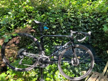 Giant, TCR Advanced Disc 2 2024