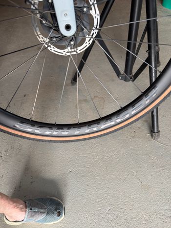 Used Trek Checkmate SLR 8 AXS 2025 2025 Road & Gravel, Blue — image 9 of 13