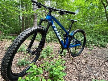 Trek, Fuel EX 9.8 29 2017