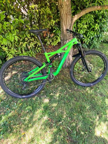 Specialized, Enduro Comp 29/6Fattie 2017