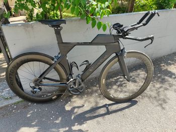 Canyon, Speedmax CF 8.0 2021