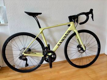 Canyon, Endurace CF SL 8 Di2 2023