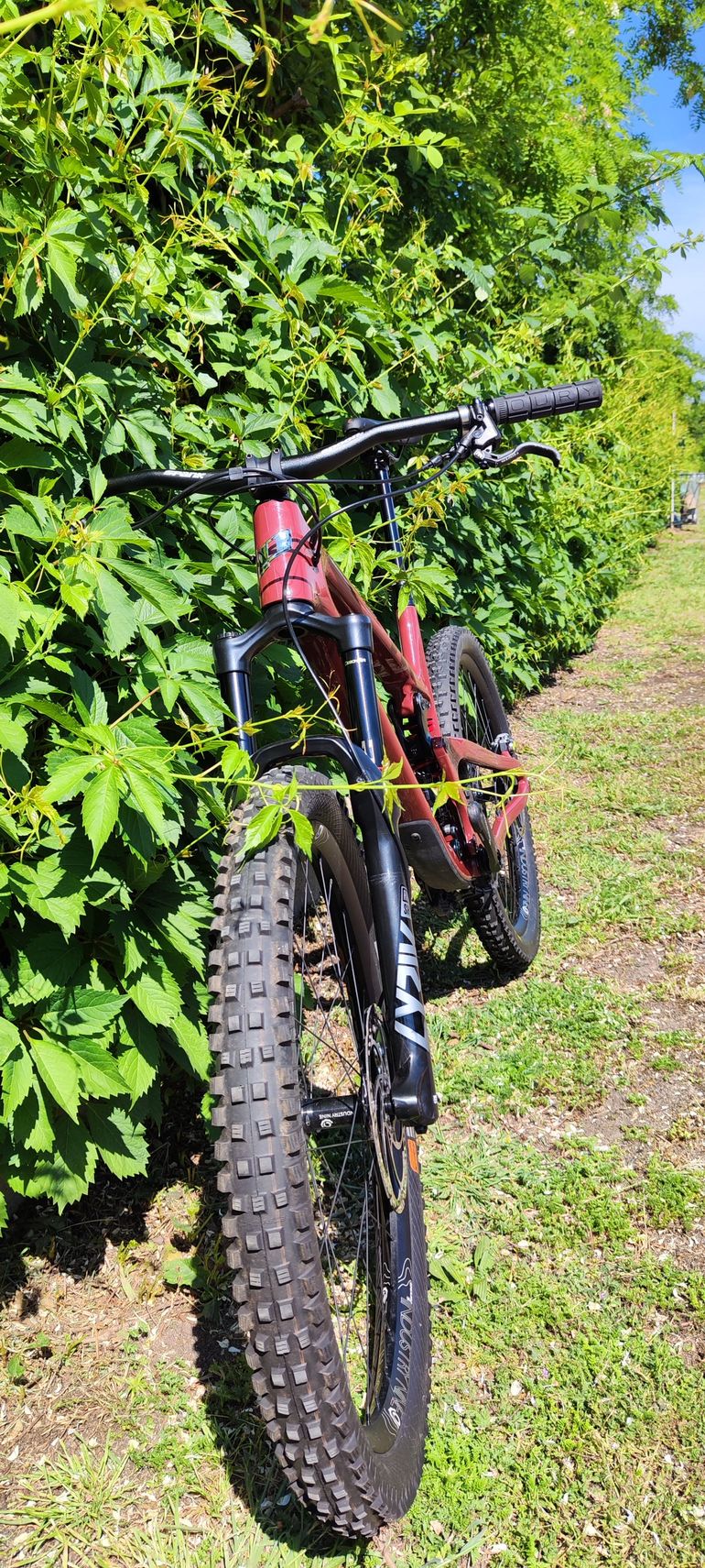 Used Propain Tyee CF 27.5 2021 2021 Mountainbike, Red — image 2 of 9