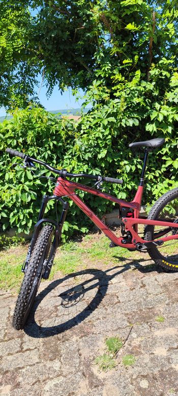 Used Propain Tyee CF 27.5 2021 2021 Mountainbike, Red — image 4 of 9